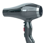 Load image into Gallery viewer, Lizze Extreme Hair Dryer